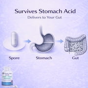 Spore Based Probiotic – Gut Health & Digestive Support – Bacillus Subtilis, Advanced Phage Technology – Shelf Stable