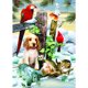 thumbnail image 1 of Cuadros Decorativos 5D Diamond Painting Flower Bird Full Square Drill DIY Wall Crafts (30x40cm) Likrtyny embutido en tela, 1 of 7