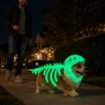 thumbnail image 6 of Pet Dinosaur Costume Soft Plush Dino Costume for Dogs Cats, Skeleton Dinosaur Halloween Outfit, Cute Pet Cosplay Clothing, Funny Dress Up Apparel for Medium Large Animals,Saffron, 6 of 6