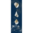 thumbnail image 3 of Loreth, Lanie 7x14 Black Modern Framed Museum Art Print Titled - Coastal Shells Panel I, 3 of 5