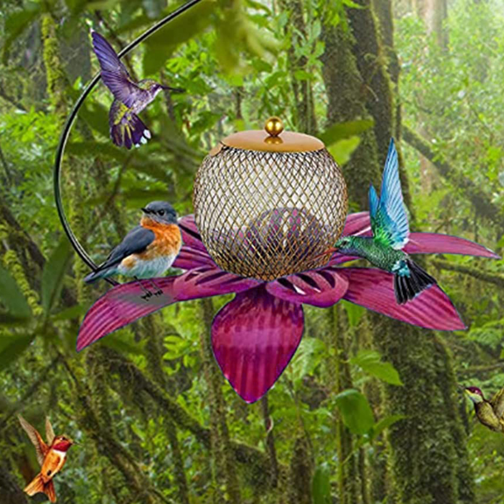 Dream Lifestyle Hummingbird Feeders for Outdoors, Coneflower Bird