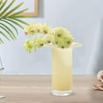 thumbnail image 6 of Flowerpot Trumpet Mouth Glass Vase Flowers Holder Versatile Flower Vase Glass Vases Decor for Holidays Kitchen Drawing Room Cafe Home Decor Yellow 16cmx19.5cm, 6 of 8