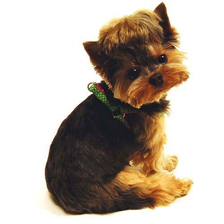 SimplyDog Green Dotty Collar/Harness Bundle