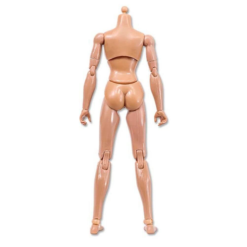 Set of 3 Deluxe Female 8 Inch Articulated Flesh Bodies (Yvonne)