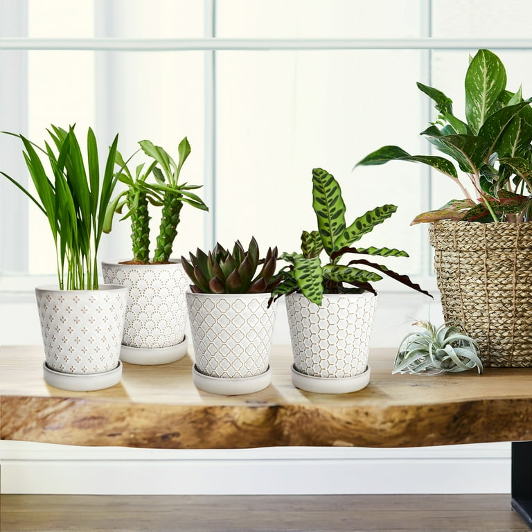 Buymax 5" White Ceramic Indoor Plant Pot with Drainage Holes & Tray, Relief Design Small Flower Pots, Set of 4, Modern Desktop Office Windowsill Decor