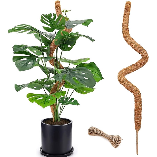 Moss Pole, 28 in Bendable Moss Pole for Plants Monstera, Moss