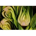 thumbnail image 5 of TomorrowSeeds - Wa Wa Qing Bok Choy Seeds - 1500+ Count - For 2025 Planting Hybrid Green Pak Choi, 5 of 10
