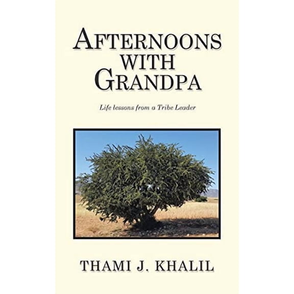 Afternoons with Grandpa: Life Lessons from a Tribe Leader (Paperback)