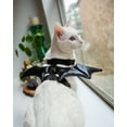 thumbnail image 5 of Pet Krewe Bat Cat Costume - Bat Wings - Harness Attachment, One Size Fits All - Perfect for Halloween, Christmas Holiday, Parties, Photoshoots, Gifts for Dog Lovers (One Size), 5 of 9