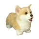 thumbnail image 1 of Set de regalo para bebés, peluche de perro Corgi de patas cortas, 1 of 5