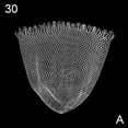 thumbnail image 1 of Small Eye White Dip Fishing Net Anti-Corrosive Strong Gear Fishing Outdoor, 1 of 8