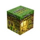 Minecraft Spawn-Egg Shaped Scrape and Dig Kit - Walmart.com