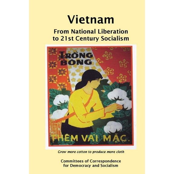 Vietnam: From National Liberation to 21st Century Socialism (Paperback)