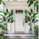 thumbnail image 4 of 2 pack 7ft(84in) artificial bird of paradise plant - fake palm tree para indoor y outdoor moderno decor, perfect housewarming gift con 17 trunks, faux leaves, y 3 flowers, 4 of 7