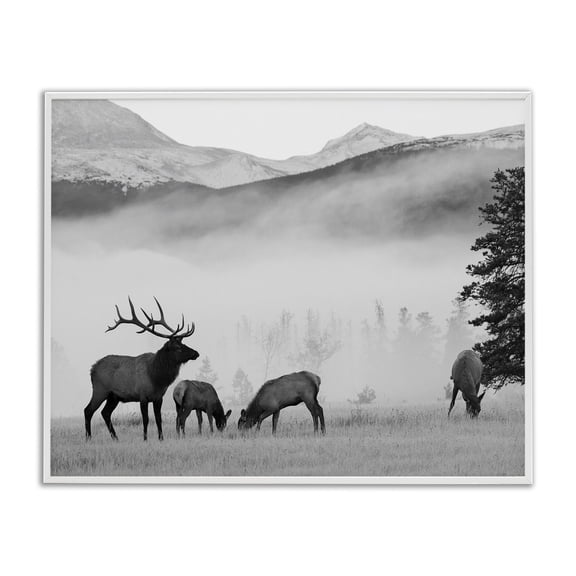 Stupell Industries Farmhouse Foggy Rural Deer Grazing White Framed Giclee Art, 20 x 16, by Danita Delimont
