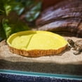 thumbnail image 4 of Wooden Log Turtle Stand With Integrated Food Bowl And Auto Sipper For And, 4 of 4