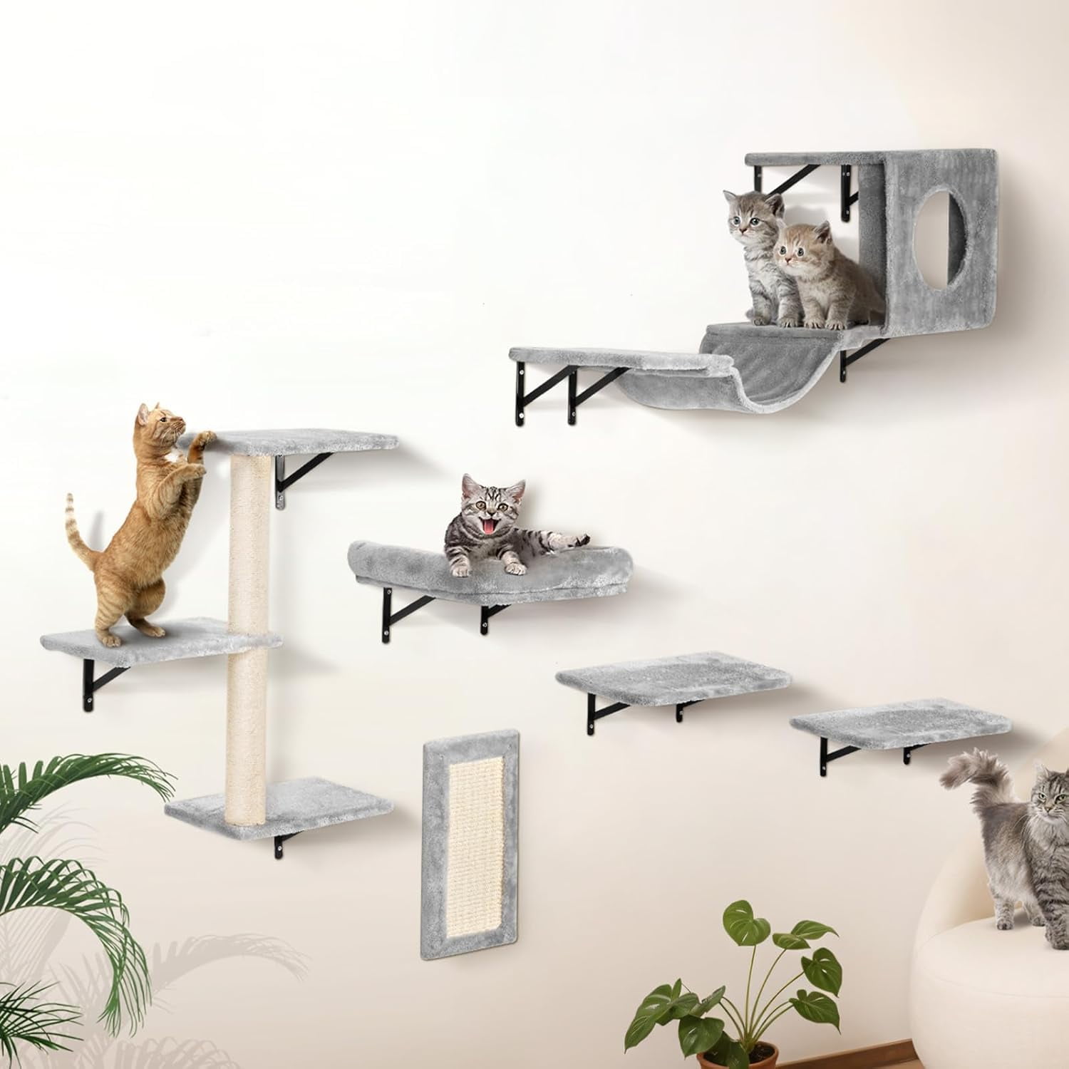 Wall Mounted  Shelves Set of 6 with Jumping Boards Hammock Sofa for Climbing Playing Sleeping  to 40 lbs