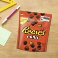 thumbnail image 3 of Friandises MOULES AU BEURRE D’ARACHIDES REESE'S Minis, 3 of 7