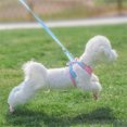 thumbnail image 4 of Ruiboury Pets Chest Strap Leash Set Soft Support Walking Vest with Pockets Running Safe Control Harness Quick Release Halter Gifts Pink Blue, 4 of 6