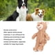 thumbnail image 3 of Compañero De Perro, Juguete De Peluche Multifuncional Para El Hogar, 3 of 7