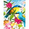 thumbnail image 1 of Pintura de diamante (DE5401) Kit cuadrado de bricolaje Color Aves encantadoras Dibujo de diamantes de imitación 40x50cm Hugtrwg Para estrenar, 1 of 1