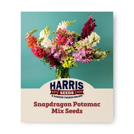 Harris Seeds - Snapdragon Potomac Mix F1 Flower Seeds - 500 Seeds