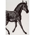 thumbnail image 2 of nuLOOM Thomas Paul Power loomed Zebra Area Rug or Runner, 2 of 2