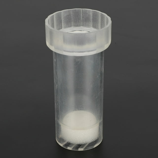 Apiculture Reine Abeille Étiqueté Bouteille, Apiculture Marquage Bouteille, Reine Abeille Étiqueté Bouteille, Étiqueté Bouteille avec Mousse Coussin pour Abeille pour Reine Abeille