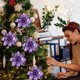 thumbnail image 1 of 10 Uds flores artificiales de Navidad colgantes de plástico DIY para suministros de fiestas y vacaciones Ndcxsfigh libre de BPA, 1 of 7