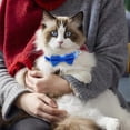 thumbnail image 6 of Cat Collar with Bow Tie and Bell Soft Adjustable for Kitten Small Pet Solid Pure Color Quick Release Buckle for Small Dogs Basic Wedding Collar, 6 of 7