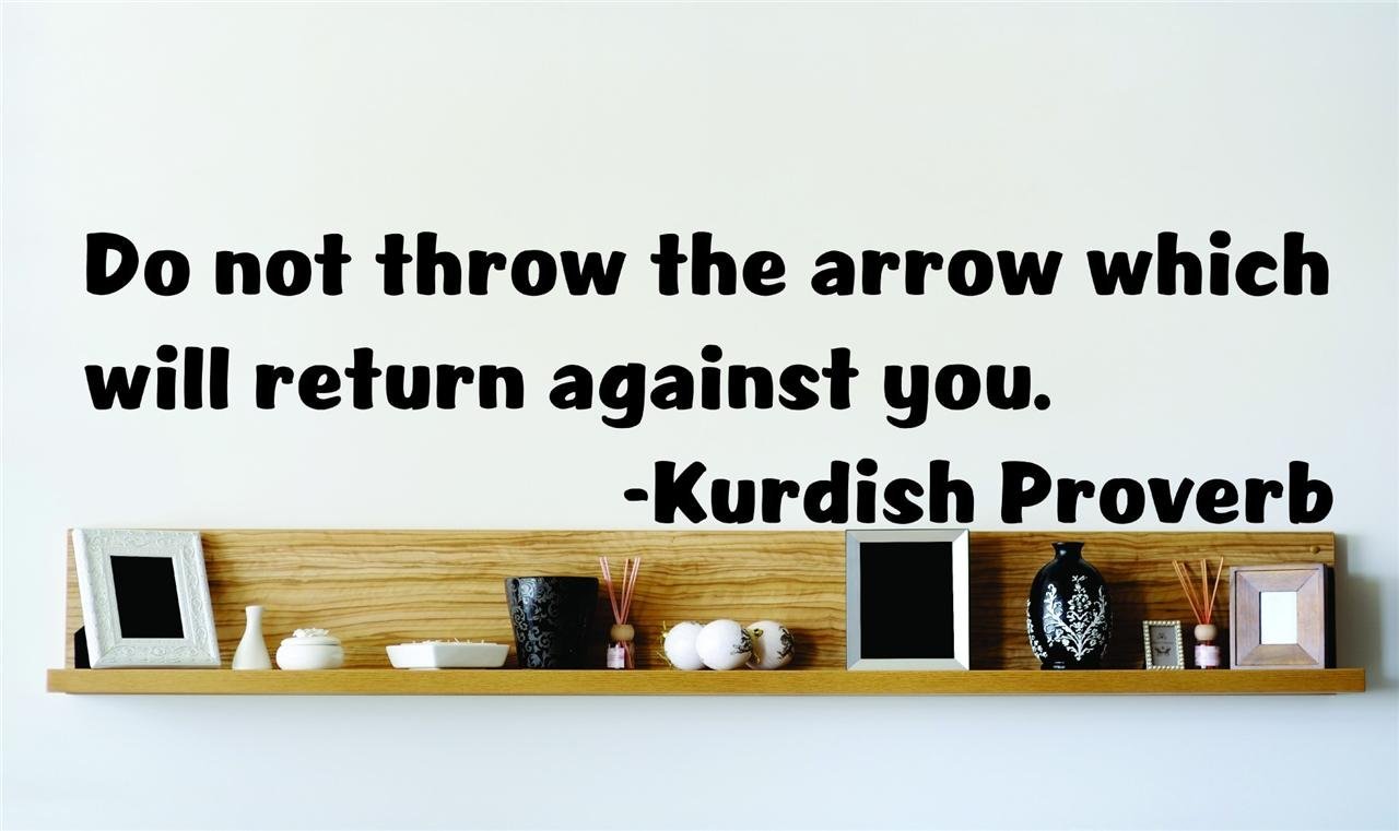 Do It Yourself Wall Decal Sticker Living Room Art Do Not Throw The Arrow Which Will Return
