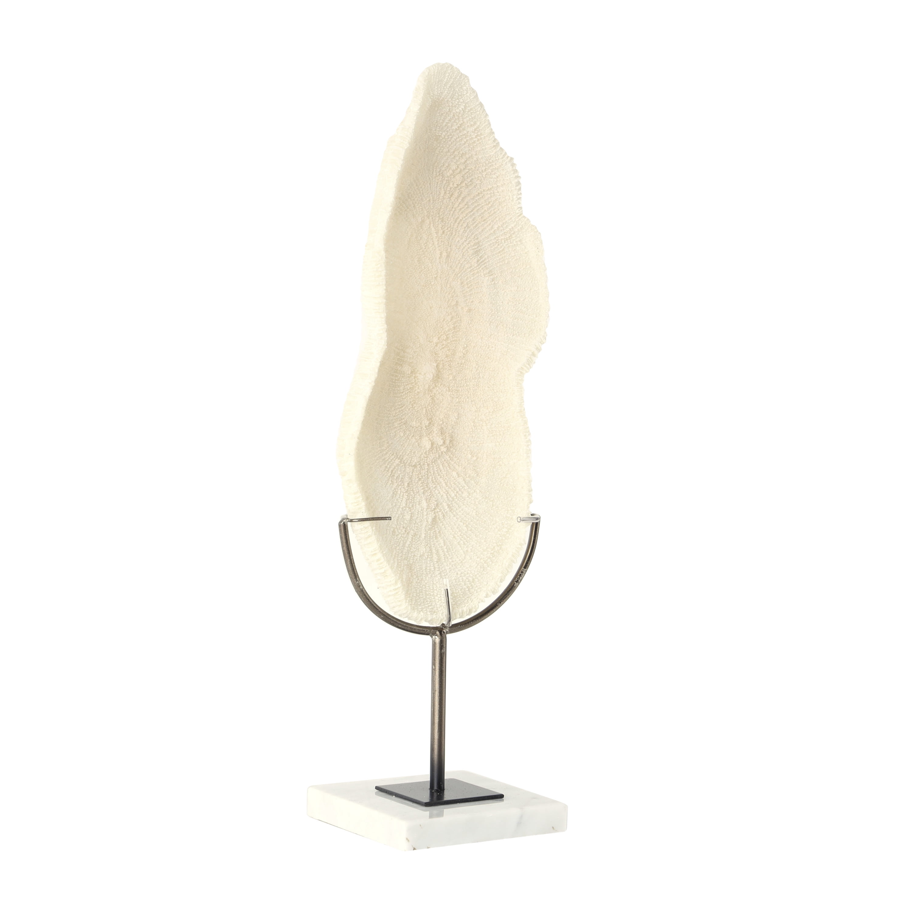 7" x 19" Cream Polystone Abstract Textured Coral Sculpture with Gray Stand and Acrylic Base, by DecMode