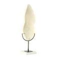 thumbnail image 6 of 7" x 19" Cream Polystone Abstract Textured Coral Sculpture with Gray Stand and Acrylic Base, by DecMode, 6 of 9