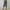 Dark Gray, variant on SEMPAI Pants for Women Culottes Cropped Solid Plus Size Pants Summer Pants Slim Simple Solid Plus Size Plus Size for Womens Plus Size Pants Celebrate