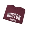 thumbnail image 3 of Boston Terrier Dog Mom Mama Mother's Day Sweatshirt Gifts Crew Neck Shirt, 3 of 7