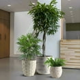 thumbnail image 3 of [3-Piece Set] 17/12/9 Inch Modern Concrete Planters - with Drainage Holes & Rubber Plugs, Heavy-Duty Indoor/Outdoor Flower Pots (SH007), 3 of 14