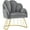 Gray, variant on BarberPub Accent Chair for Living Room Bedroom, Manicure Chair for Nail Tech Salon
