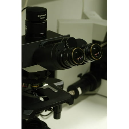 Poster Set Science Lab - LAMINATED POSTER Science Microscope Research Laboratory Poster Print 24 x 36