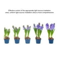 thumbnail image 3 of Growth Lamp,Led Plant Red And Plant In Red Nursery With Led Plant Nursery, 3 of 7
