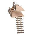 thumbnail image 1 of Hamster Wooden Playground, Ingenious Exercise Small Pets Climbing Platform  For Playing For Hiding For Gerbils For Small Birds, 1 of 8