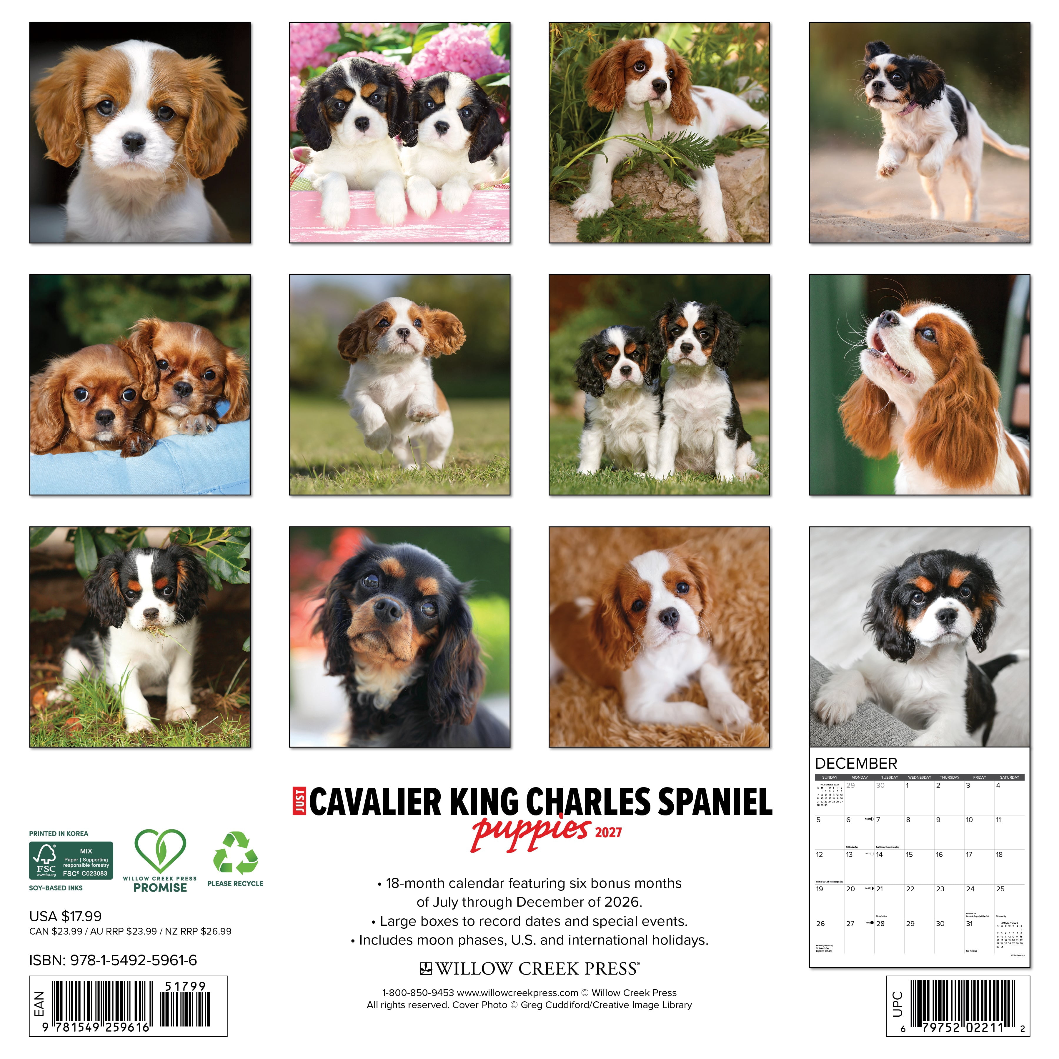 Willow Creek Press, Cavalier King Charles Spaniel Puppies 2027 Wall Calendar