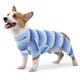 thumbnail image 1 of Xiao Hua Pijama para perro de manga larga a rayas, informal, para recuperación de cirugía de mascotas, adecuado para perros pequeños, 1 pieza, azul, talla M, 1 of 5