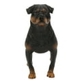 thumbnail image 6 of Realistic Dog Figurine Rottweiler Figure 8.7in Large Plastic Animal Sculpture Model Lifelike Animal Statue Home Decoration, 6 of 8