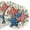 E, variant on HaCpiu 250th Anniversary Party Centerpiece Decor Round Placemats, 14" July 4th Patriotic Star Striped Table Mats, Independence Day Decorations for Dining Table, Kitchen & Party Supplies