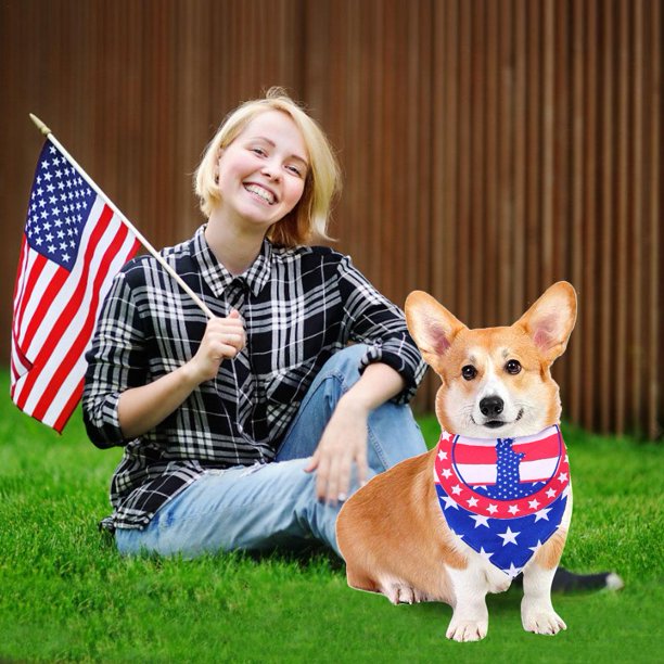 Autcarible Autcarible Trump 2020 American Flag Dog Bandana Washable Triangular Scarf For Small Medium Large Dogs Cats Walmart Com Walmart Com