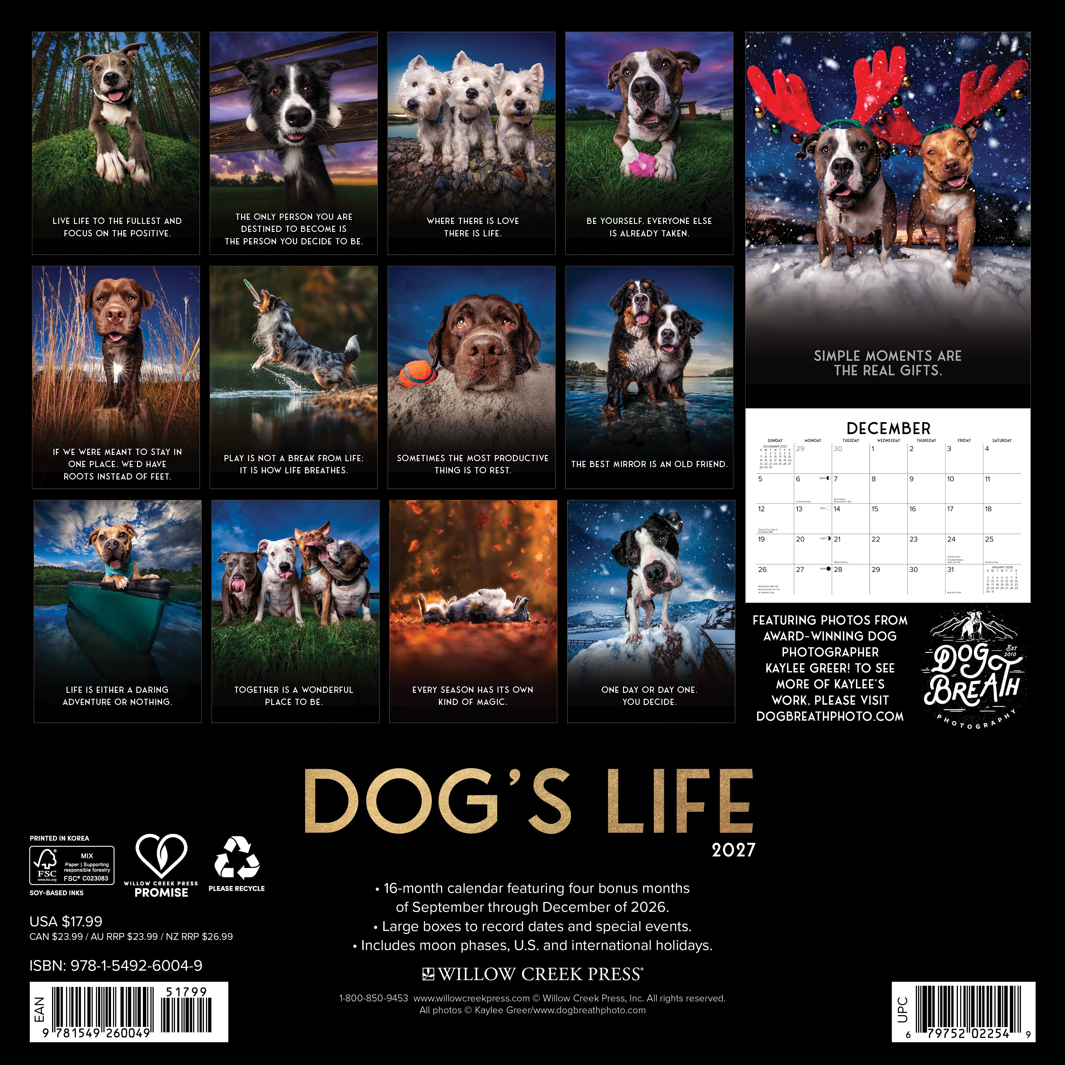 Willow Creek Press, Dog's Life 2027 Wall Calendar