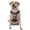 With Accessories, variant on Vsdgher Forest Maple Leaf Husky Pattern Dog Harness,No Pull Pet Harness with Soft Padded Handle,Adjustable Reflective Vest with 2 Buckles,4 Slide Buckles,S-XL Large