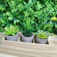 thumbnail image 3 of Plantas verdes Imitación antigua carnosa combinación maceta escritorio planta simulación pequeña maceta falsa carnosa, 3 of 6