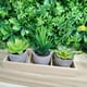thumbnail image 3 of Plantas verdes Imitación antigua carnosa combinación maceta escritorio planta simulación pequeña maceta falsa carnosa, 3 of 6
