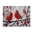 thumbnail image 1 of Art Mural Sur Toile À Led Double Cardinal, 1 of 4